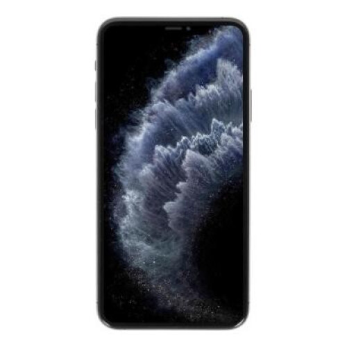 Apple iPhone 11 Pro Max 64GB grau