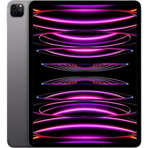 iPad Pro 12.9 (2022) 6. Generation 256 GB - WLAN - Space Grau